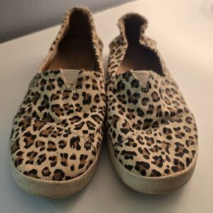 Toms Leopard Slip-On Shoes